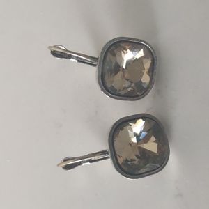 Light weight earrings